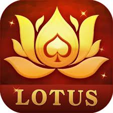 teen patti nurcy card download